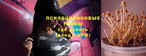 ешки Абаза