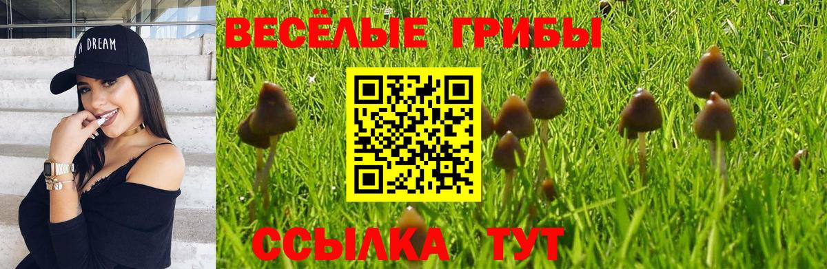 Псилоцибиновые грибы Psilocybine cubensis Карталы